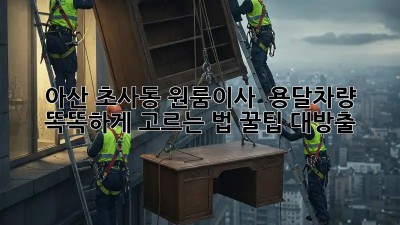 아산 초사동 원룸이사 🚚 용달차량 똑똑하게 고르는 법! 꿀팁 대방출 ✨