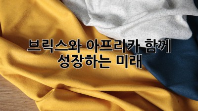 브릭스와 아프리카: 함께 성장하는 미래